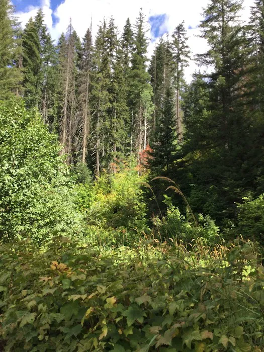 Napeequa Crossing Campground Picture 1