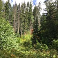 Napeequa Crossing Campground ico