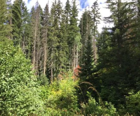 Napeequa Crossing Campground