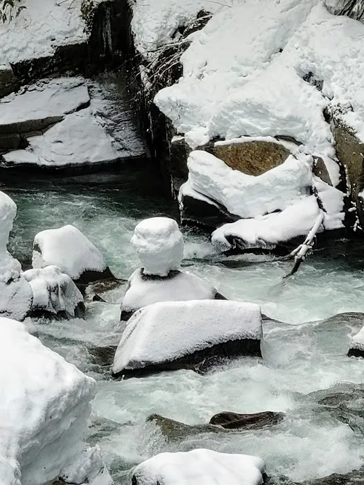White River Falls Campground Picture 6