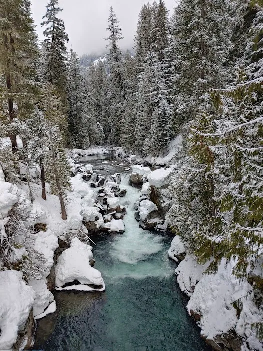 White River Falls Campground Picture 9