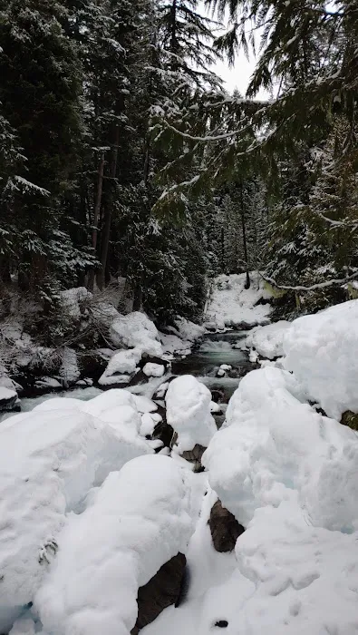 White River Falls Campground Picture 10