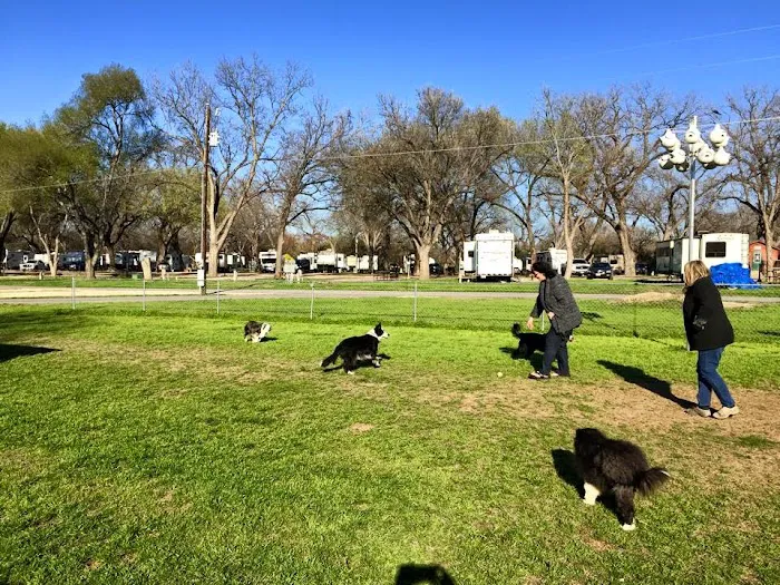 Pecan Park Riverside RV Park Picture 5