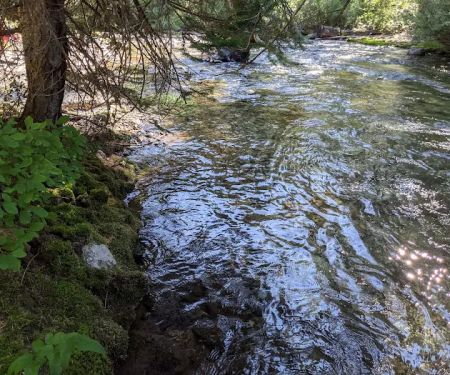 Rock Creek Campground