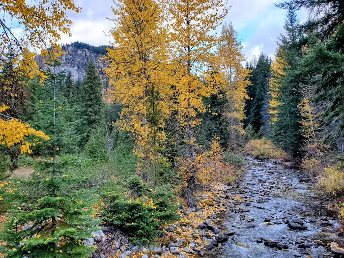 Rock Creek Campground Picture 3