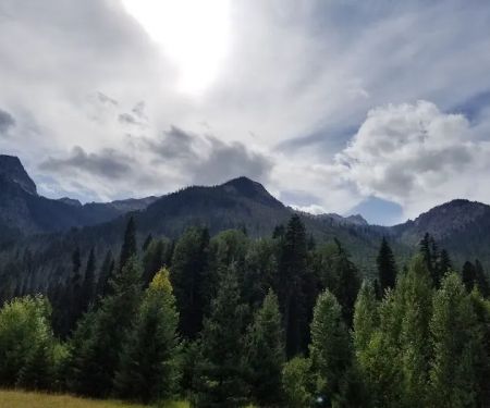 Atkinson Flat Campground