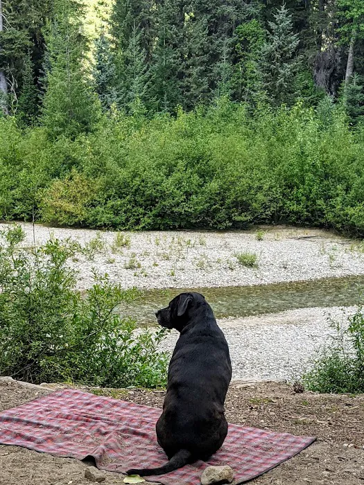 Atkinson Flat Campground Picture 5