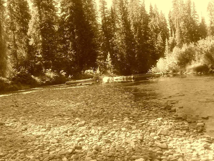Atkinson Flat Campground Picture 7
