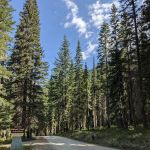 Nineteenmile Campground
