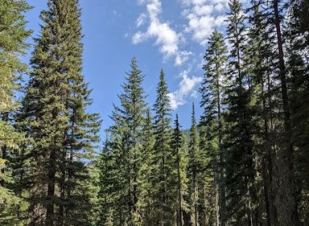 Nineteenmile Campground
