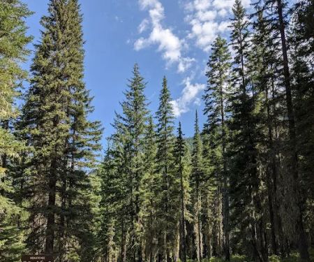 Nineteenmile Campground