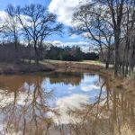 Suhlerville RV Park & More