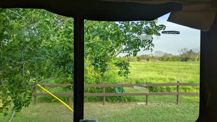 Home Again RV Park Picture 4