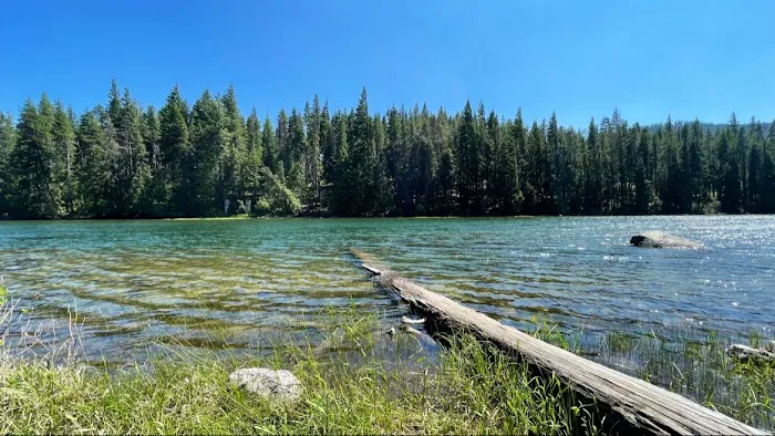 Lake Wenatchee North Campground (Sites 101-197) Picture 7