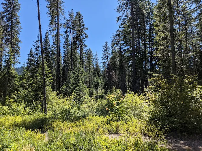 Lake Wenatchee North Campground (Sites 101-197) Picture 5