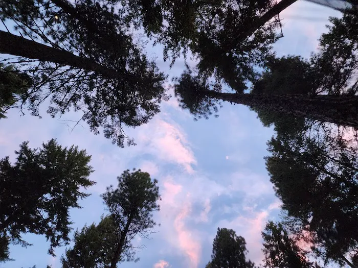 Lake Wenatchee South Campground (Sites 1-100) Picture 7