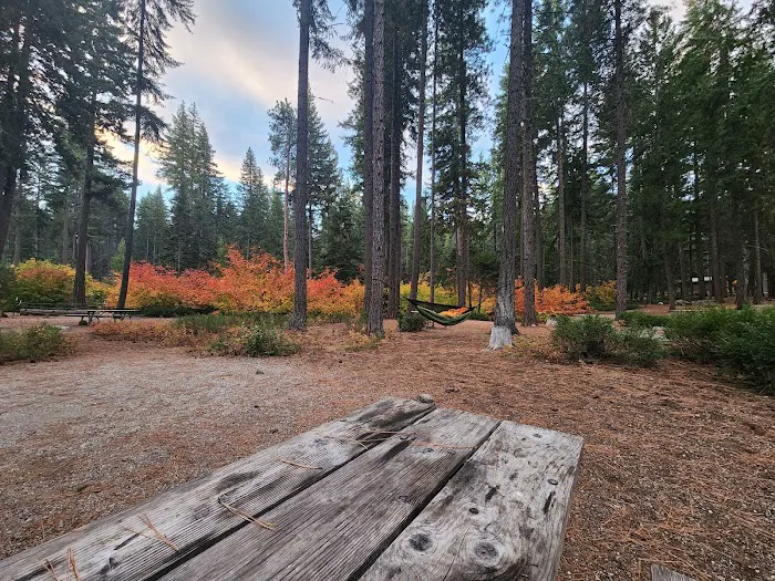 Lake Wenatchee South Campground (Sites 1-100) Picture 5