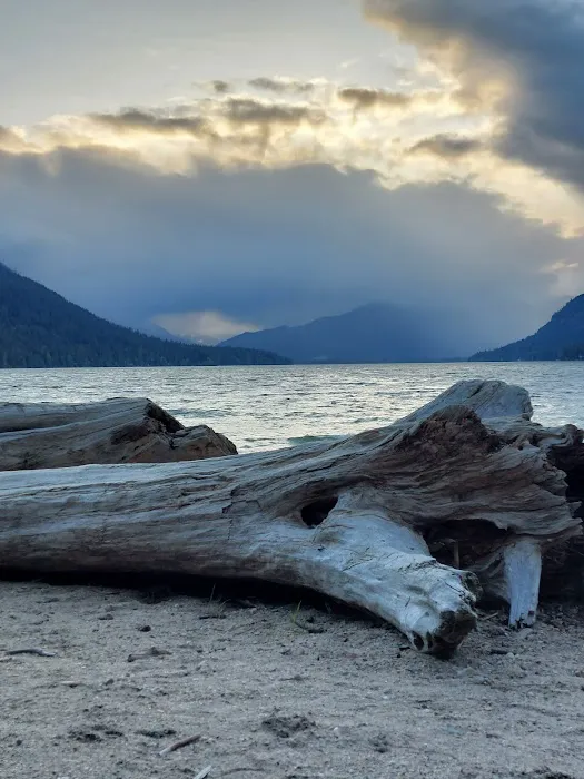 Lake Wenatchee South Campground (Sites 1-100) Picture 9