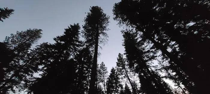 Grouse Creek Group Campground Picture 1