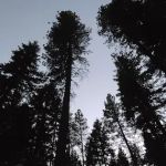 Grouse Creek Group Campground