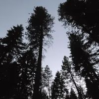 Grouse Creek Group Campground ico
