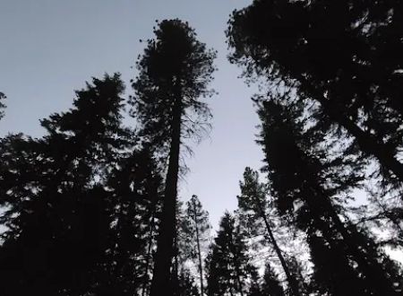 Grouse Creek Group Campground