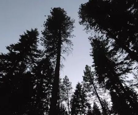 Grouse Creek Group Campground