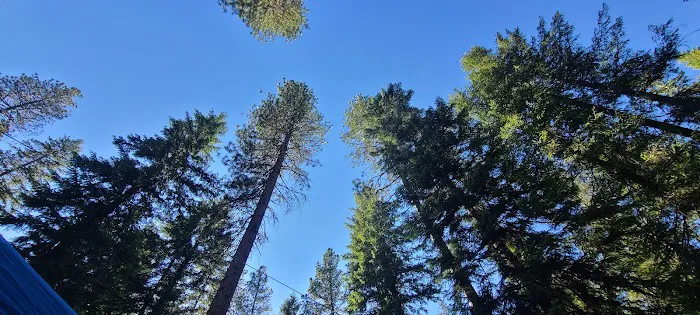 Grouse Creek Group Campground Picture 2
