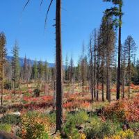 Meadow Creek Campground ico