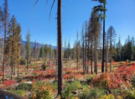 Meadow Creek Campground