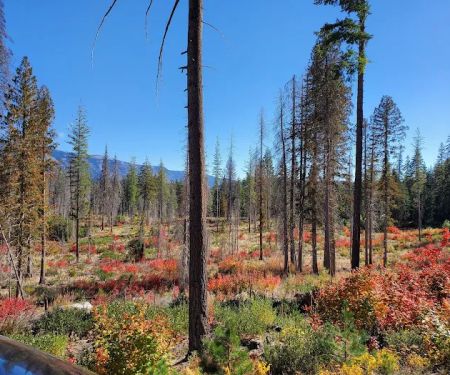 Meadow Creek Campground