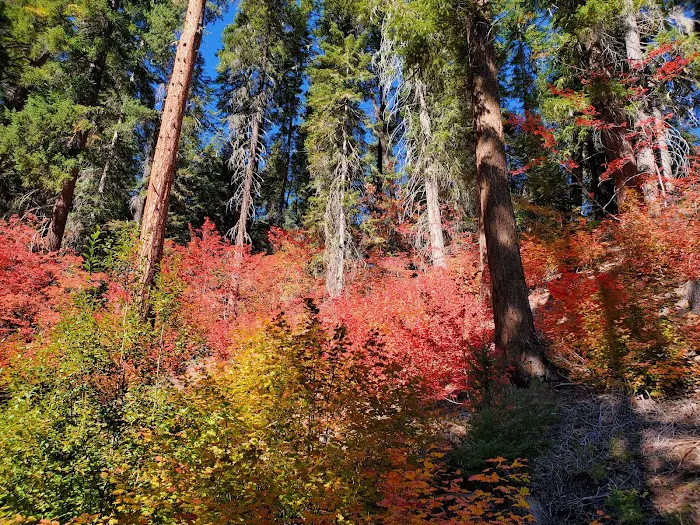 Meadow Creek Campground Picture 4