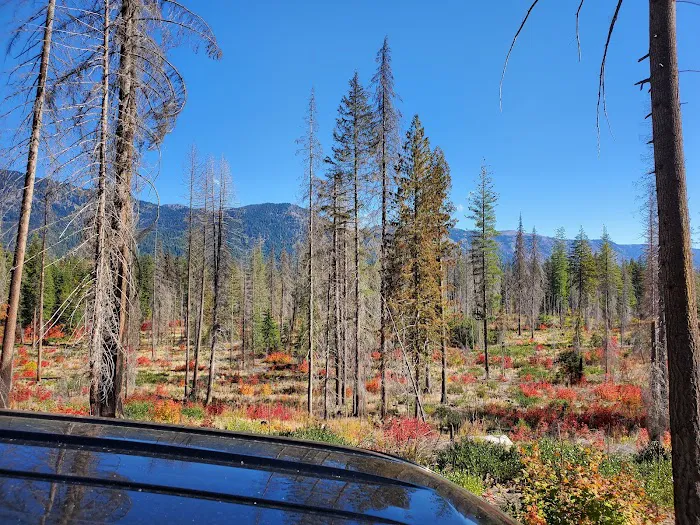 Meadow Creek Campground Picture 10