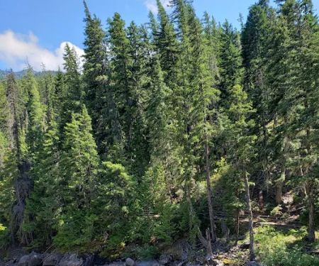 Chatter Creek Campground