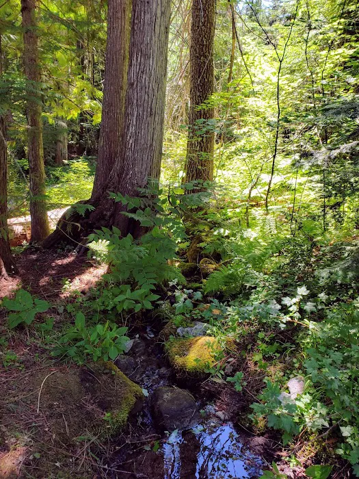 Chatter Creek Campground Picture 6