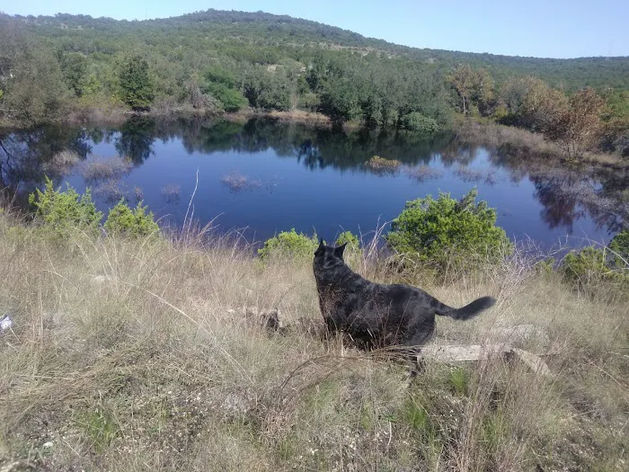 JAy ranch Picture 3