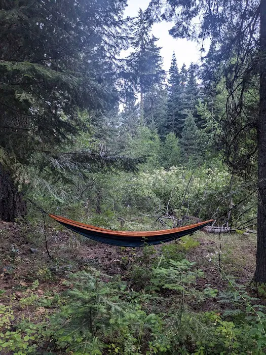 Upper Johnny Creek Campground Picture 1