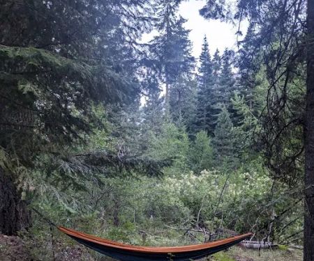 Upper Johnny Creek Campground
