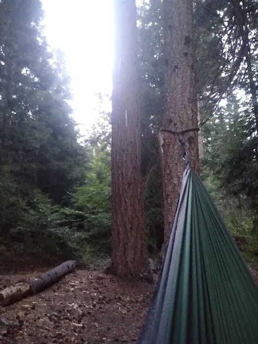 Upper Johnny Creek Campground Picture 5