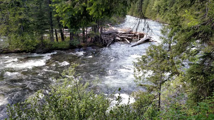 Upper Johnny Creek Campground Picture 4