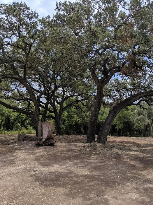 6 Oaks Tiny Home (and RV Park) Picture 4
