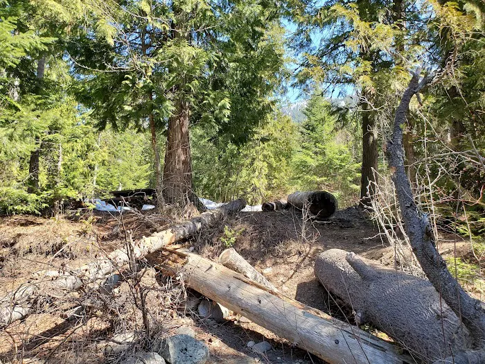 Priddy Meadow RV Park Picture 7