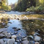 Bridge Creek Campground