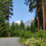 Bridge Creek Group Site