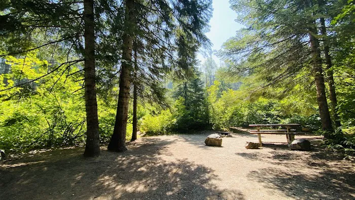 Nason Creek Campground Picture 3
