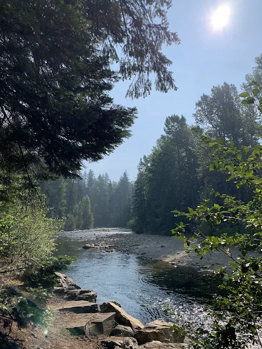 Nason Creek Campground Picture 5