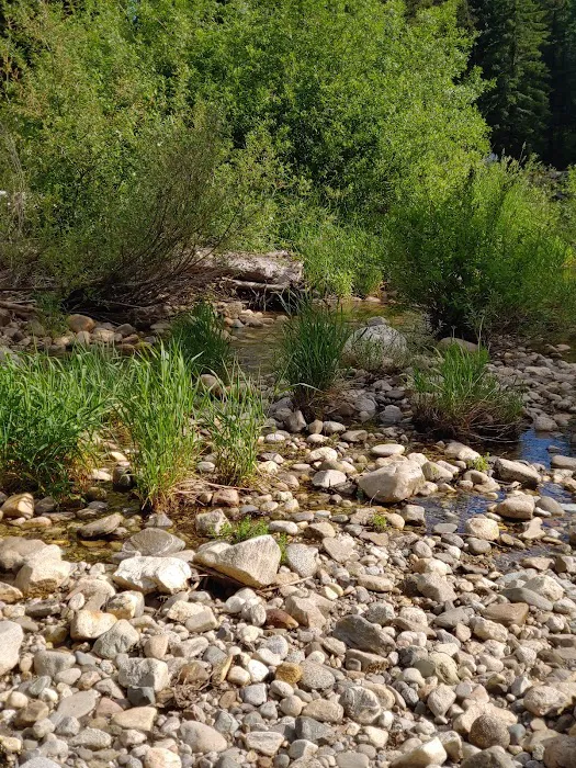 Nason Creek Campground Picture 10
