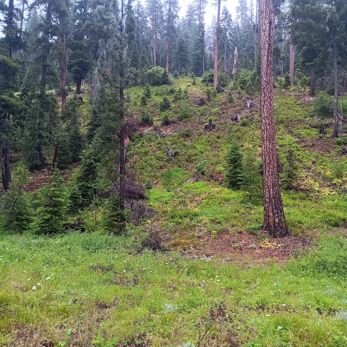 Beverly Campground Picture 1