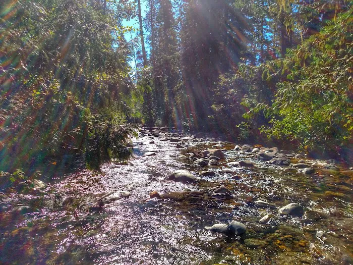 Beverly Campground Picture 6