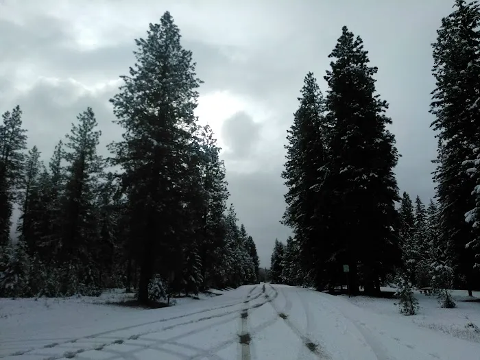 Twentynine Pines Campground Picture 2